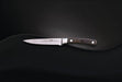 Napoleon Steak Knife | 55208