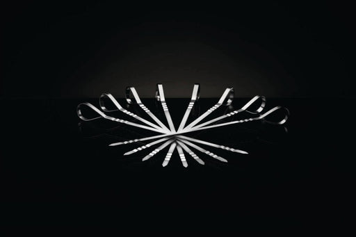 Napoleon Eight Stainless Steel Multifunctional Skewers | 70015