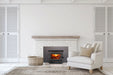 Empire Stove Archway 2300 Wood Insert in Modern Living Room