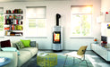 Hearthstone Stoves Bari Freestanding Wood Stove with Soapstone Finish in Customer's Home