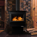 Buck Stove Model 21 Wood Stove on Black  Pedestal Base in Rustic Home