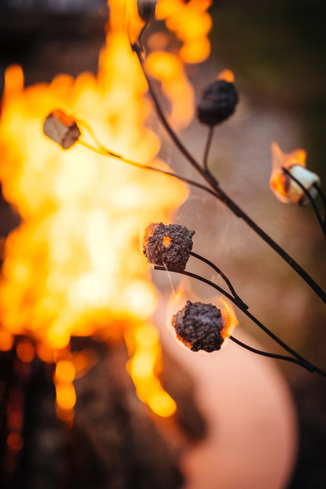 Roasting Stick