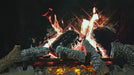 Background: Tranquil Greige with Oak Logs.

Audio: Summer Night.